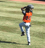Baseball, Softball, Little League Statistics Software Photo 1