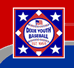 Dixie Baseball logo